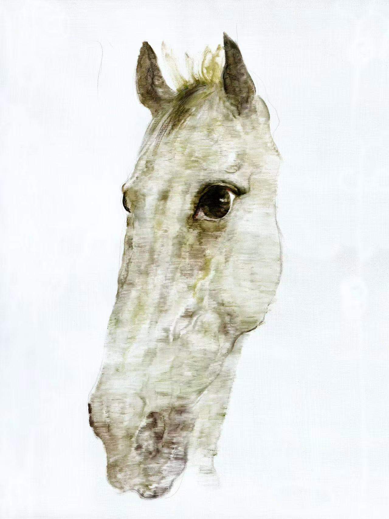 人马之缘——评东方腾弘的画马